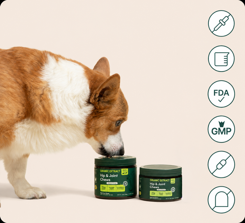 Oranic Extract Hip & Joint Chews