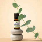 Zovost Hemorrhoids Relief Formula