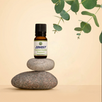 Zovost Hemorrhoids Support